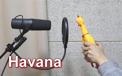 Camila Cabello - Havana 'Chicken Cover'