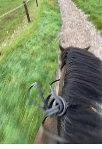 Sometimes I let Jesus take the wheel, thank god she has and emergency stop button 🫠🫣🤣 #horse #equestrian #horseriding #fail #fyp