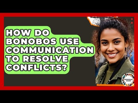 How Do Bonobos Use Communication To Resolve Conflicts? - Anthropology Insights