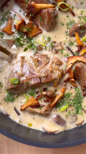 Braiseret nakkefilet i en let hvidvinssauce med svampe og friske porre🍄‍🟫🌿💚 En skøn simre ret til weekenden🥘, der smager skønt med både knuste kartofler, kogte eller stegte kartofler, ris eller mos🍚 Jeg linker til opskriften på min profil🔥 #nakkefilet #braisedpork #simremad #hyggemad #svampe | Gourministeriet