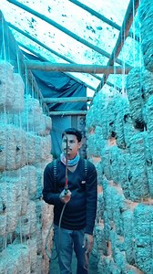 20L Water Cypermethrin 10 EC Spray 🍄 #mushroom #mushrooms #mushroomfarming #mushroomcultivation | Tanmoy Sarkar