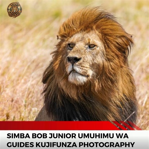 The Safari Podcast | On the Safari Podcast, award-winning wildlife photographer Fahad Fuad talks about how tour guides are essential for learning wildlife... | Instagram