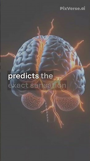 You’ll NEVER Be Able to Tickle Yourself! 😱 | Science Explained