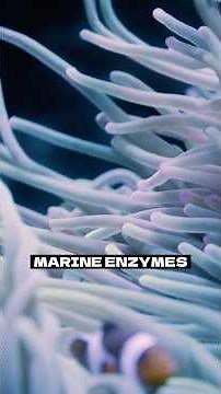 TYPES OF BIO-TECHNOLOGY? #capf2025 #upsc #biotechnology