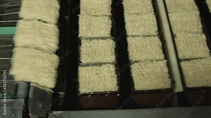 Production of instant noodles. The conveyor with noodles at the plant. Without color correction.