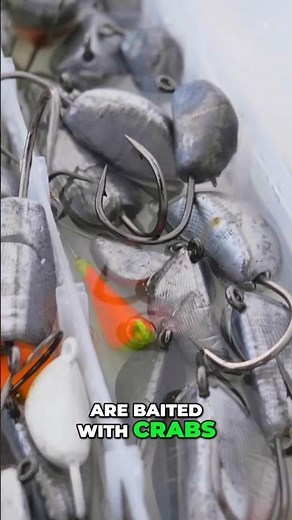 Jigs or Rigs for Tautog on a Party Boat #fishing #rhodeisland