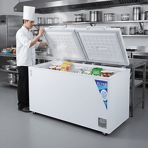 [Hot Item] Commercial Horizontal Folding Door Meat Food Stuff Frozen Fridge Ice Cream Chiller with Brand Compressor