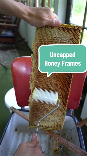 Uncapping and Replacing Honey Frames