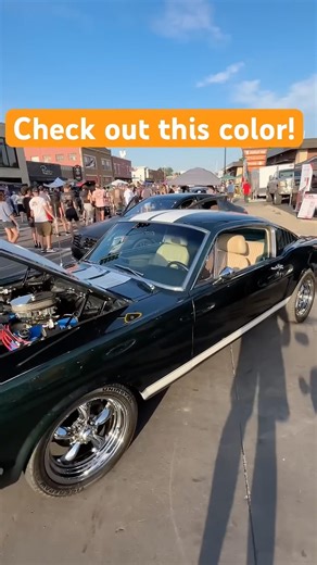 1966 Ford mustang fastback open the hood #automobile #sportscars #supercar