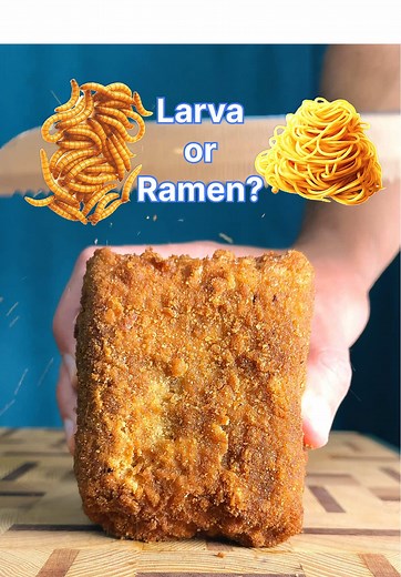 Ramen or Larva: The Guessing Game