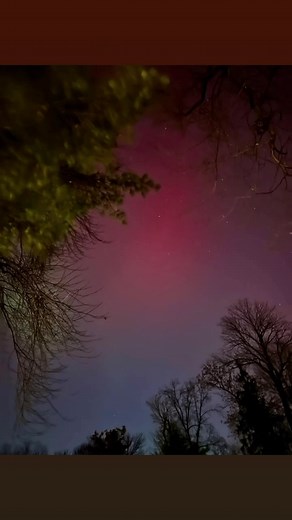 David Shank on Reels