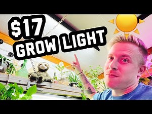 $17 Grow Light for Houseplants from Walmart