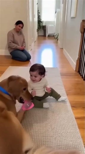 Dog Saves Sippy Cup From Disaster #Shorts #Viral #Short