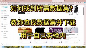 如何查找数据集并下载？六分钟带你找到任意数据集，并教你用于自己实验内！