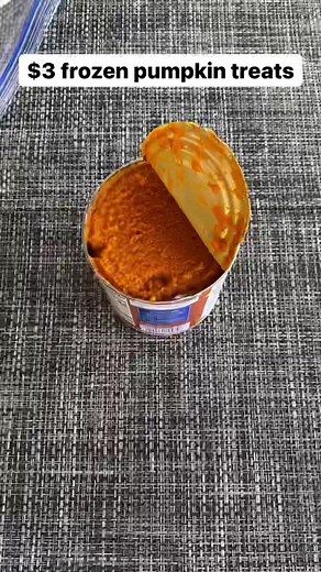 Does your dog like pumpkin? 🐶🎃 #thebkpets #dogtreats #pumpkin