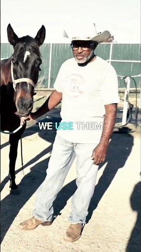 Therapeutic Horse Riding for Children with Autism