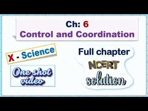 Ch:6 Control and Coordination 🧠 | NCERT Solution 📘 | One Shot 🎯 | Class 10 Science 🔬