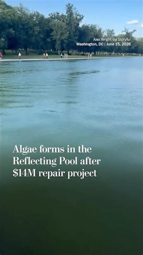 Algae forms in the Reflecting Pool after $14M repair project