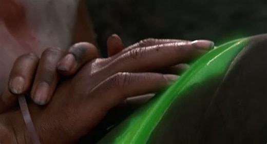 Predator Ragadozó HD HUN