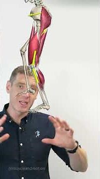 Master Anterior Knee Pain with Our AKP Online Course!