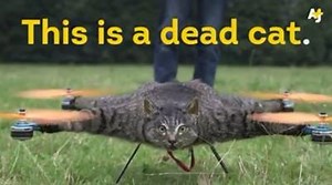 This is just beautiful HAHAHAHAHAAH 󾌴󾭛 @jayalvarrez | Jay Alvarrez