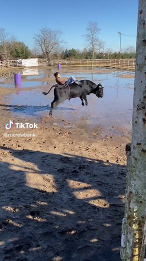 I rode my first bull 🤣🤣 #KAYKissCountdown #rucrewbank #fyp | Bull Riding