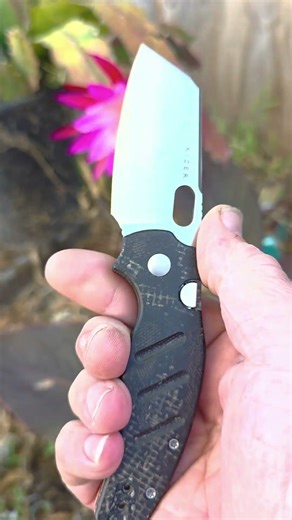 Kizer Sheepdog C01C 2.9 BS