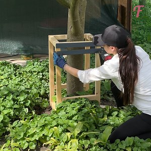 Beauty of crafts and gardening come together in diy project. | Fabiosa Life