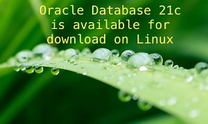 Oracle Database 21c is available for download on Linux