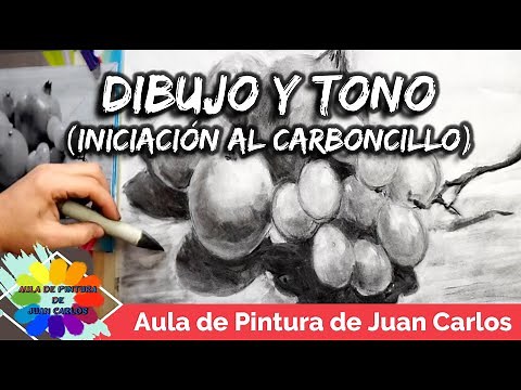 DIBUJO Y TONO. Carboncillo para principiantes.