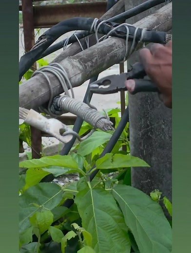 Never Mess With High-Voltage Lines #electrician #safety #warning