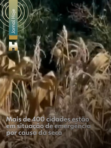 Estiagem - Mais de 400 cidades brasileiras estão em situação de emergência por causa da seca. No sul do país, os produtores já enfrentam problemas nas lavouras. Capanema e mais 12 cidades paranaenses decretaram situação de emergência por causa da estiagem. Dez entraram para esta lista em março. As prefeituras estimam perdas de R$ 416 milhões na agricultura, na pecuária e com gastos no abastecimento de água. Além do prejuízo provocado pela seca, outra preocupação está com a alimentação dos animai