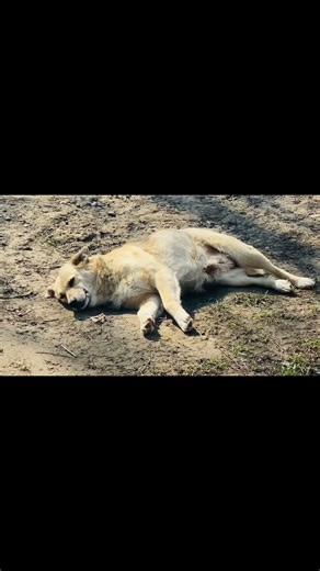 16 марта 2026 г.