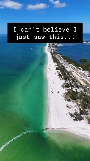 Florida manatee watching! Florida hidden gem Coquina Beach | Baelotravels