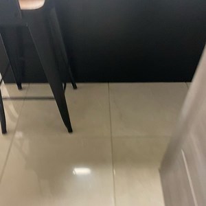 38K views · 2K reactions | omg he hates me 凉 | Kelo the African Grey | Facebook