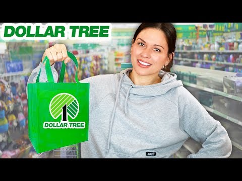 ARE THEY WORTH $1.25? TESTING 12 NEW DOLLAR TREE PRODUCTS
