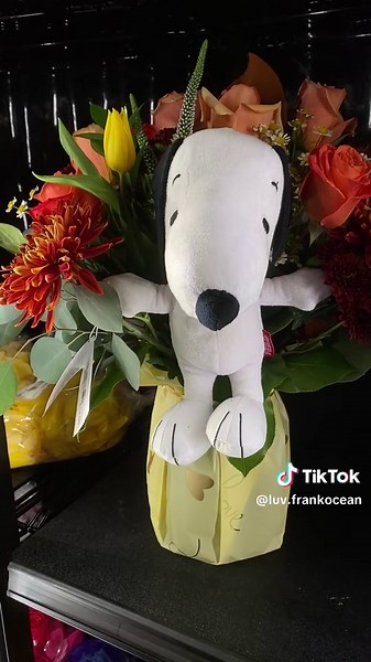 Discover Adorable Snoopy Fall and Halloween Finds
