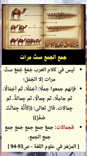جمع الجمع 6 مرات في اللغة العربية.. الكلمة الوحيدة التي تفردت بذلك! 😲📖🐪