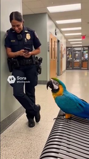 Talking Macaw Asks About Marriage — Then Roasts Men With Brutal Honesty 😂 #awkward #funny