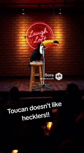 Comedian Toucan