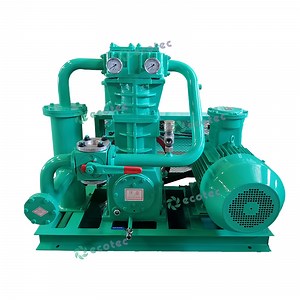 [Hot Item] Ecotec LPG Compressor, Biogas Compressor Petroleum Gas Station