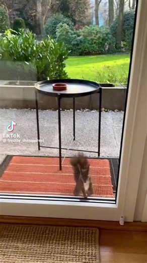 Gabriela Wimmer (@gabriela.wimmer4)’s videos with Originalton - Gabriela Wimmer