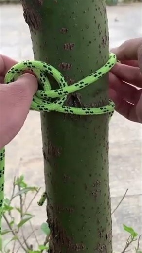 the process of tying the green bogie rope tightly, simply, easily and quickly