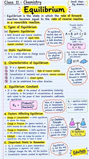 Class 11 Chemistry | Equilibrium |EduPath