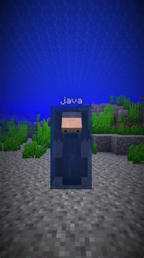 Java Vs Bedrock...? 🤔