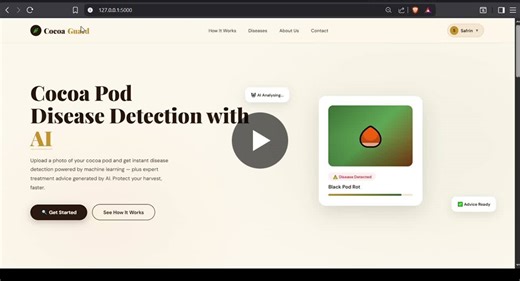 Cocoa Pod Disease Detection with Deep Learning | Mohamed Safrin posted on the topic | LinkedIn