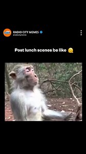 Error 🥲😴 . . . . #meme #corporatememe #funnymeme #funnyreels #bollywoodmene #entertainment #dailymeme #relatablememe #weekendmeme #corporatememes #bollywood #entertainment #radiocityentertainment #corporatemajdoor | Radio City