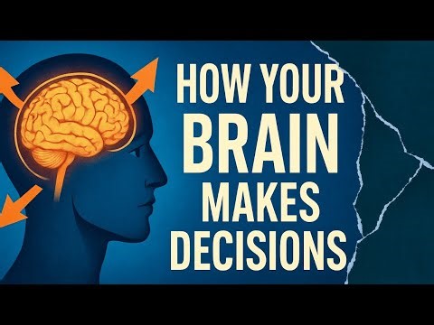 How To Improve Your Decisions | Understand Your Brain and How Making Decisions Work