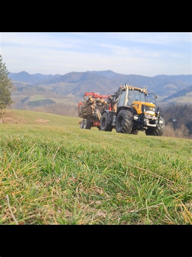 #ichundmeinholz #jcb #poweroneende💪#leistungstattvario😈💪💪