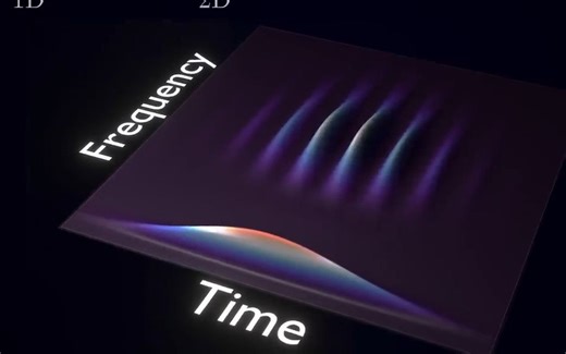 转载 | Wavelets 小波 | A Mathematical Microscope 数学显微镜